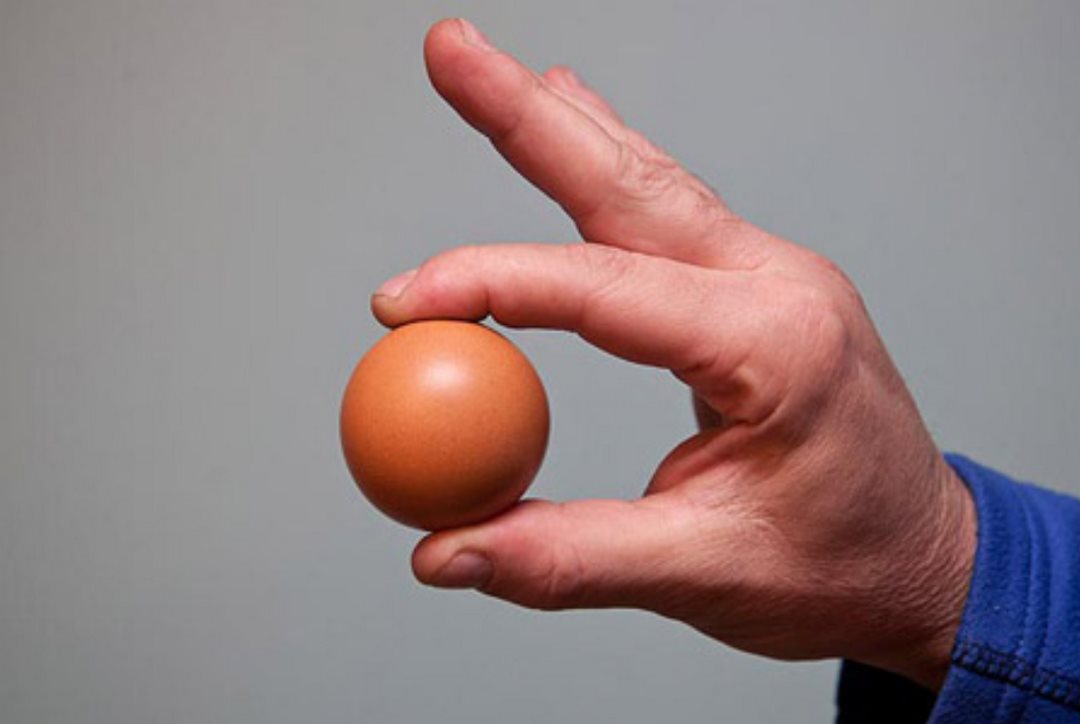 Nếu nhặt được 1 quả trứng thì sao?