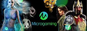 Tính đến thời điểm này thì Micro đã cho ra mắt hơn 800 game