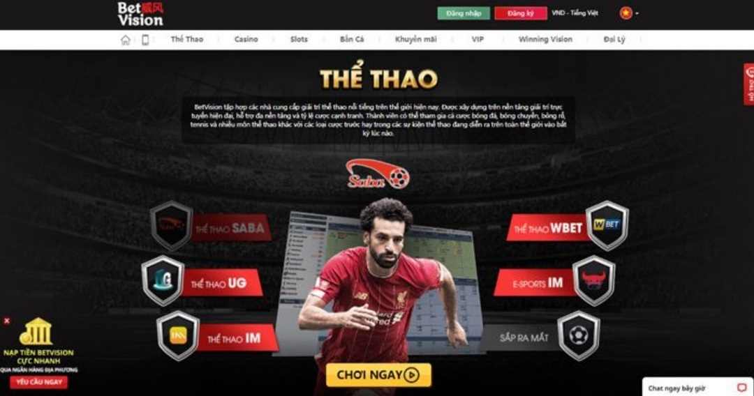 Betvision có mỗi hoạt động đều được game thủ truy cập đông đúc