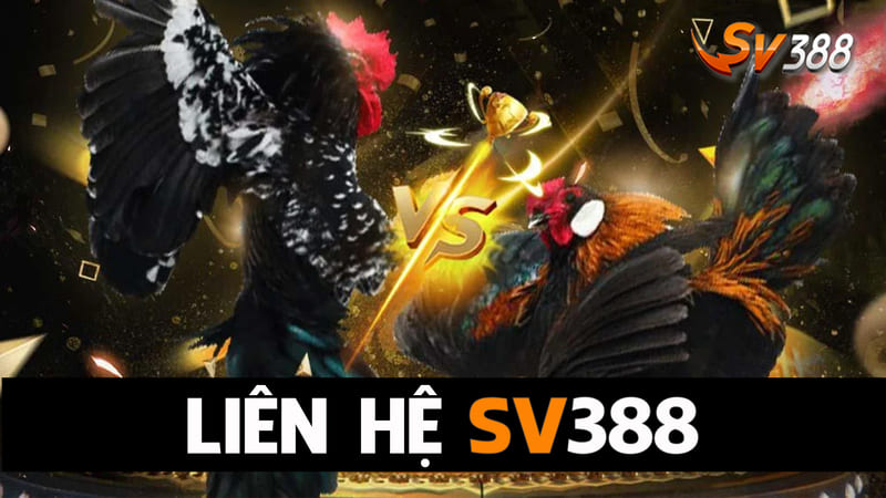 Sv388 hỗ trợ người chơi 247 